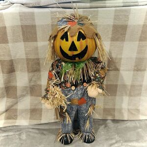 Halloween Scarecrow Kids Of America Fall Pumpkin Fiber Optic Jack 'O Lantern